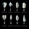 Stainless Steel Gelatin Jelly Art Tools, 22 PCS 3D Jelly-Art-Tools Pudding-Nozzle Cake Needles Gelatin Tools for Cake Decoration, Jelly Cake making